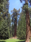 2006-0623 CA