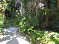 2011-0105 FL