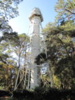 2011-1116 FL Trip – FL